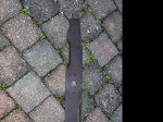 685-010 1 -Ster maaier
